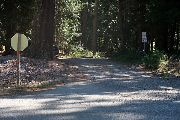 SR410 WSDOT 2025 - 68