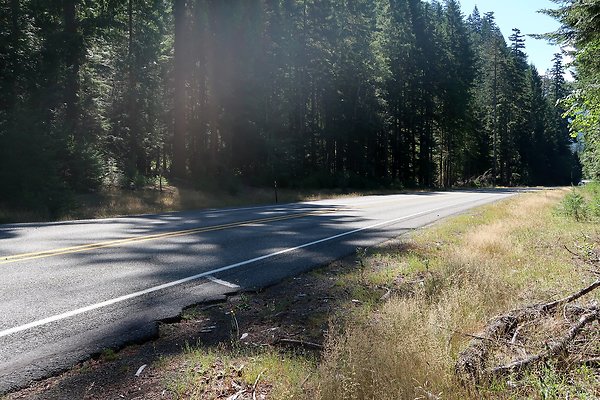 SR410 WSDOT 2025 - 73