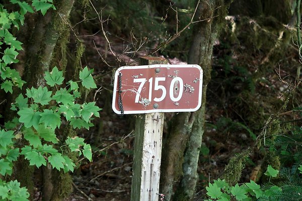 SR410 WSDOT 2025 - 4
