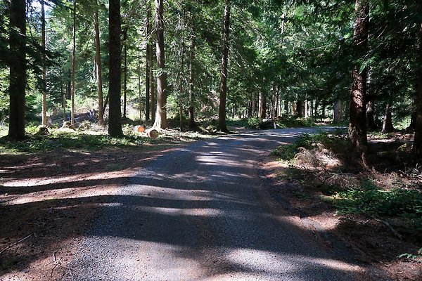 SR410 WSDOT 2025 - 55