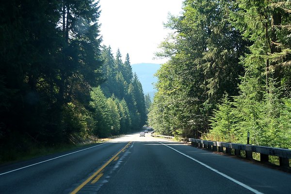 SR410 WSDOT 2025 - 25