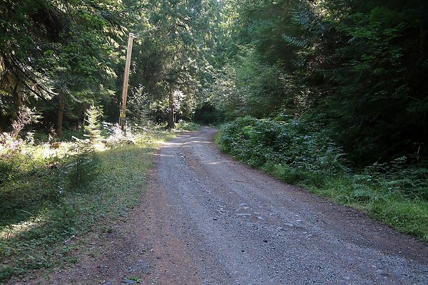SR410 WSDOT 2025 - 2