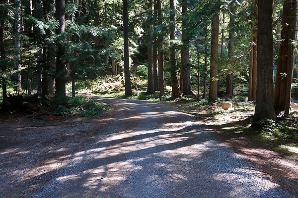 SR410 WSDOT 2025 - 36