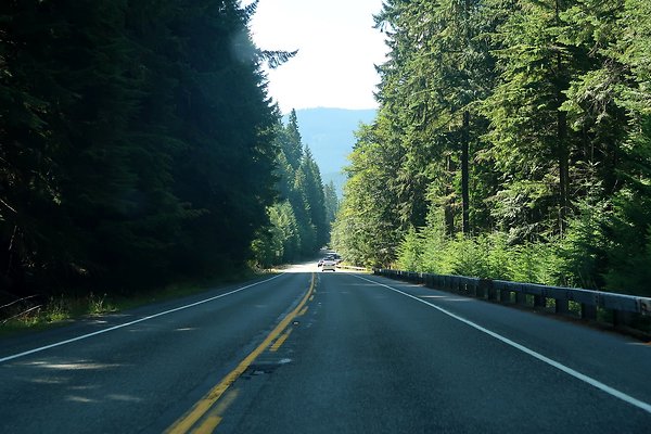 SR410 WSDOT 2025 - 24