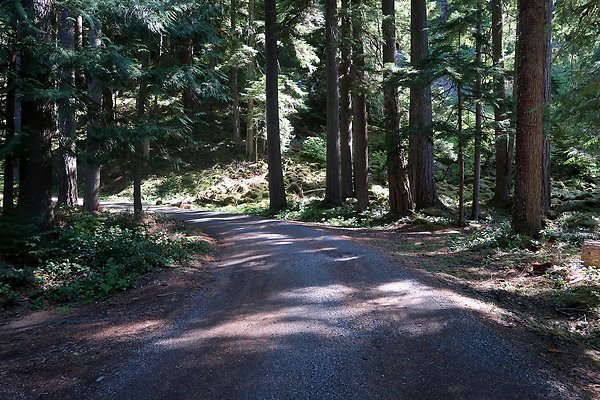 SR410 WSDOT 2025 - 37