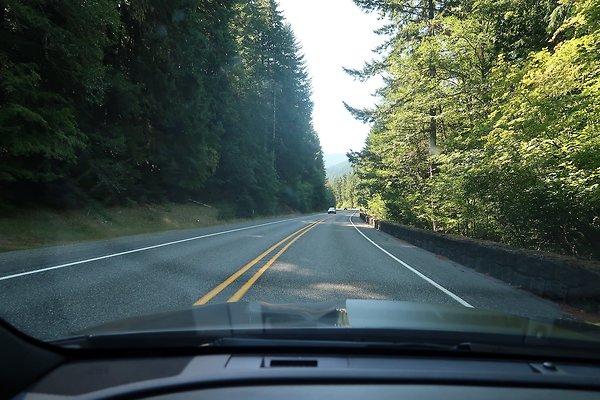 SR410 WSDOT 2025 - 91