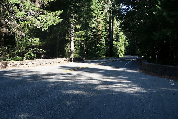 SR410 WSDOT 2025 - 9