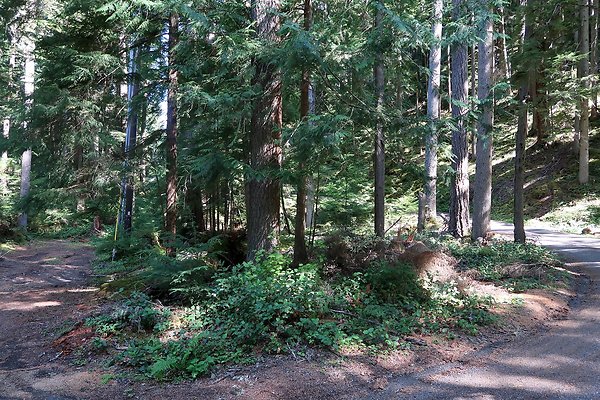 SR410 WSDOT 2025 - 38
