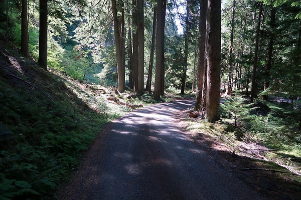 SR410 WSDOT 2025 - 54