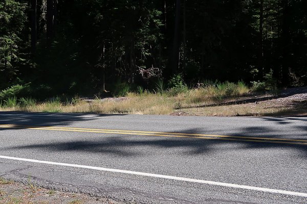SR410 WSDOT 2025 - 70