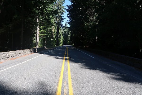SR410 WSDOT 2025 - 12