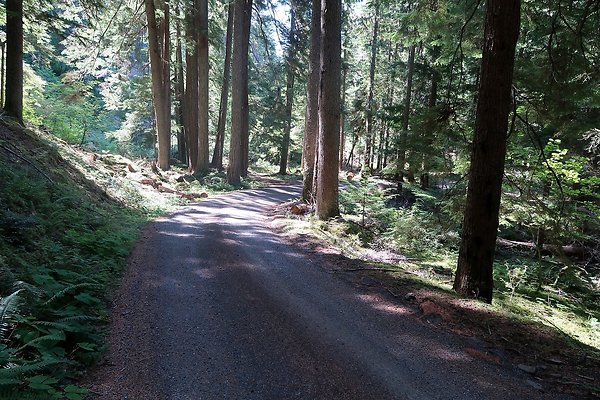 SR410 WSDOT 2025 - 48