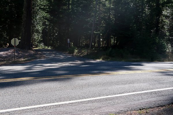 SR410 WSDOT 2025 - 72