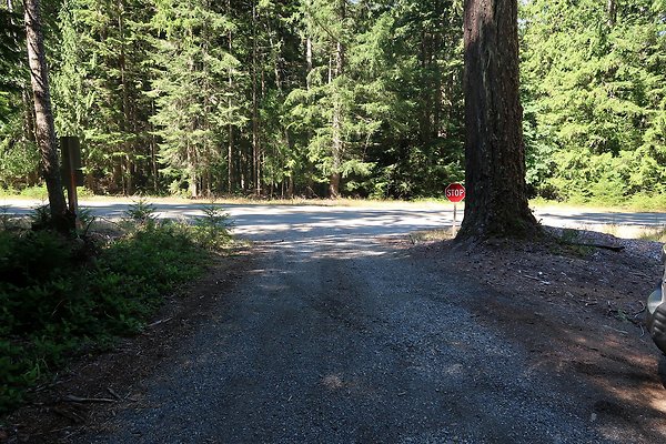 SR410 WSDOT 2025 - 31