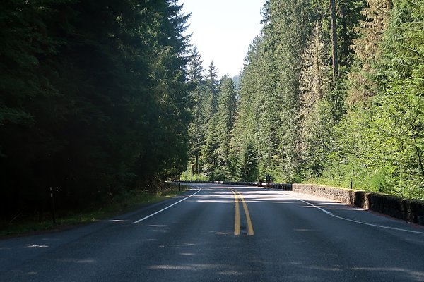 SR410 WSDOT 2025 - 13