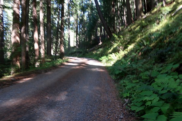 SR410 WSDOT 2025 - 45