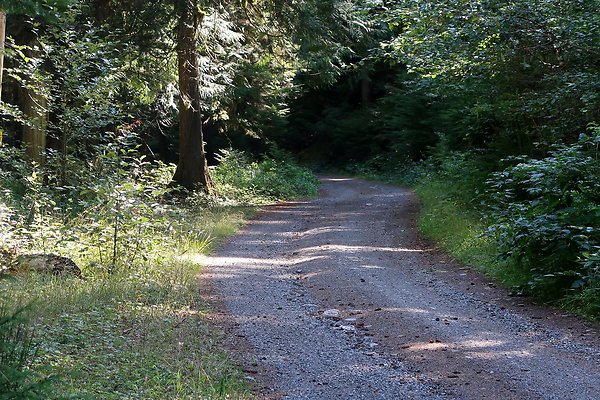 SR410 WSDOT 2025 - 20