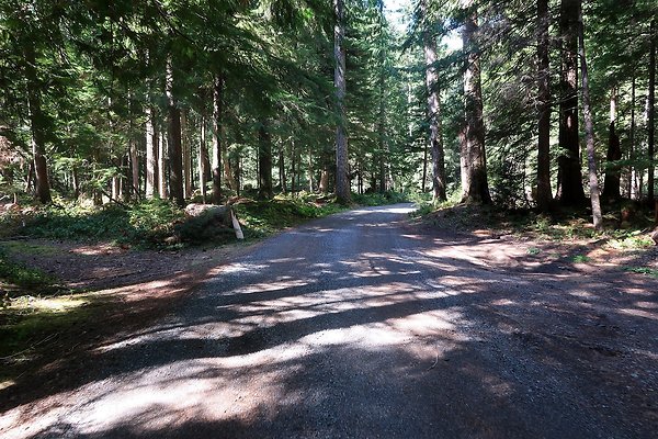 SR410 WSDOT 2025 - 57