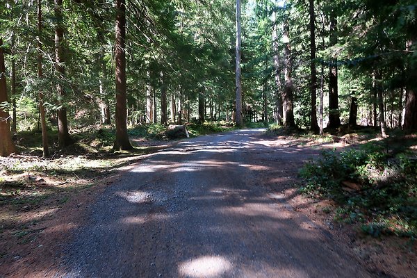 SR410 WSDOT 2025 - 56