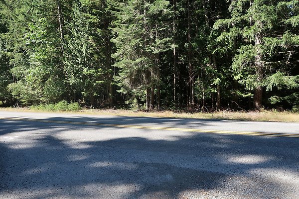 SR410 WSDOT 2025 - 61