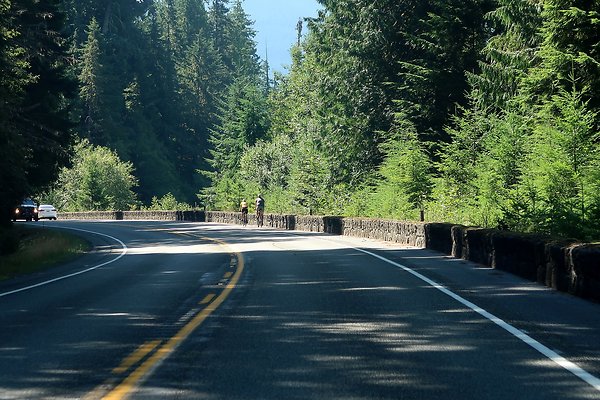 SR410 WSDOT 2025 - 28