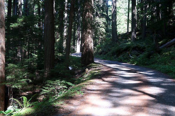 SR410 WSDOT 2025 - 53