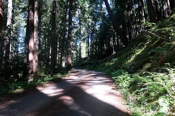 SR410 WSDOT 2025 - 46