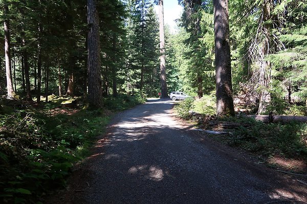 SR410 WSDOT 2025 - 58