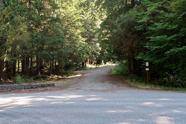 SR410 WSDOT 2025