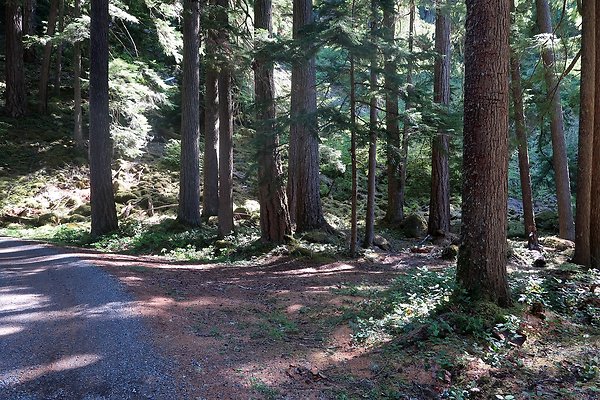 SR410 WSDOT 2025 - 40
