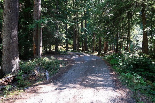SR410 WSDOT 2025 - 33