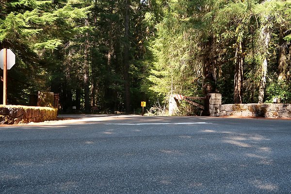 SR410 WSDOT 2025 - 8