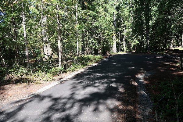 Dalles Campground Site 37 USFS - 6