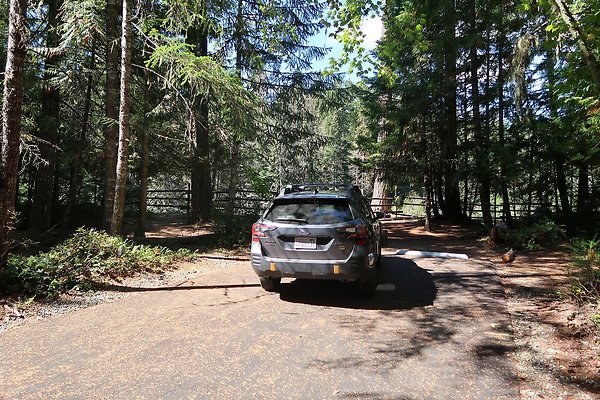 Dalles Campground Site 37 USFS - 20