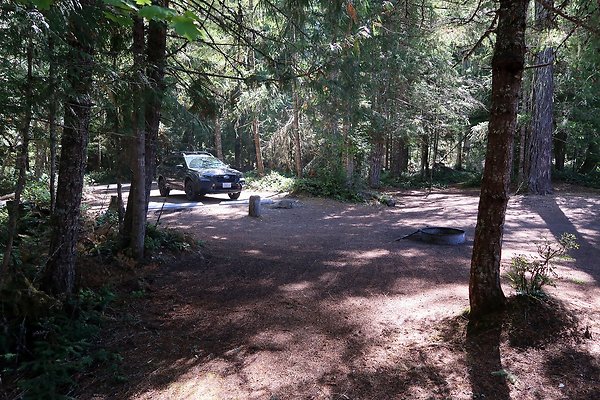 Dalles Campground Site 37 USFS - 16