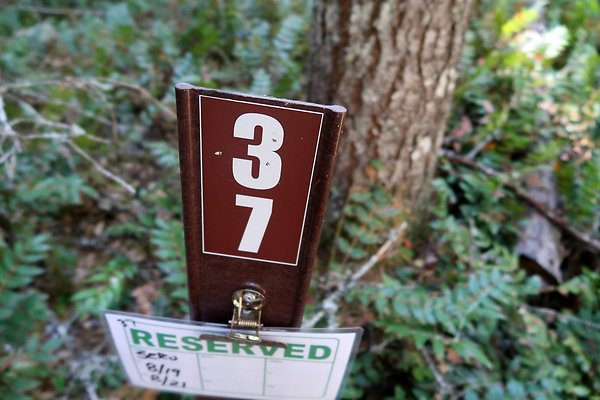 Dalles Campground Site 37 USFS