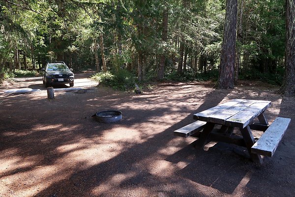 Dalles Campground Site 37 USFS - 13