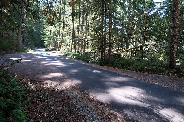 Dalles Campground Site 37 USFS - 3