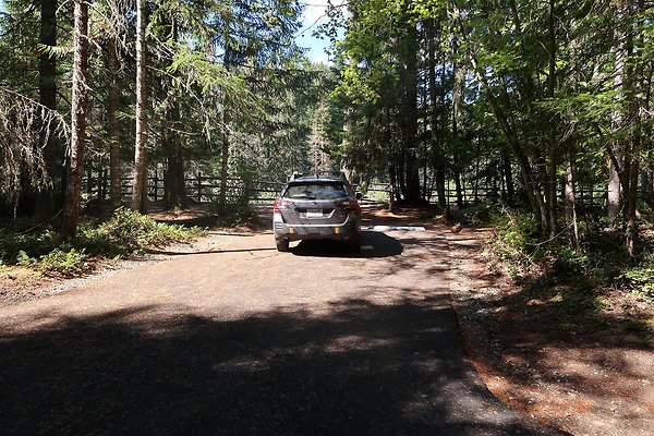 Dalles Campground Site 37 USFS - 7