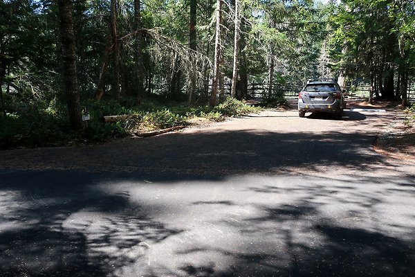 Dalles Campground Site 37 USFS - 4