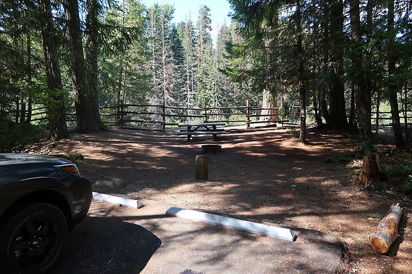 Dalles Campground Site 37 USFS - 10