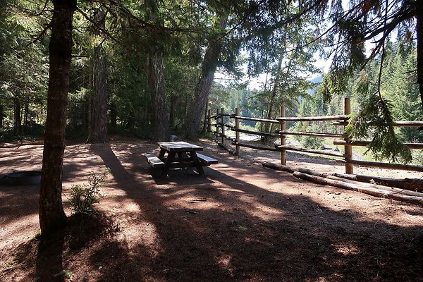 Dalles Campground Site 37 USFS - 17