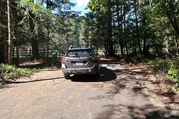 Dalles Campground Site 37 USFS - 8