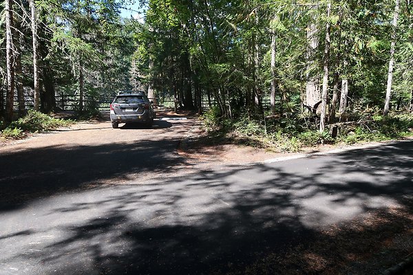 Dalles Campground Site 37 USFS - 5