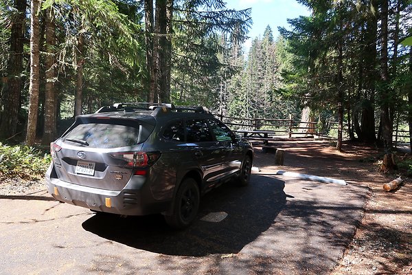 Dalles Campground Site 37 USFS - 9