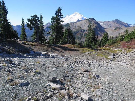 ArtistPoint Mt Baker tool137