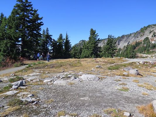 ArtistPoint Mt Baker tool122