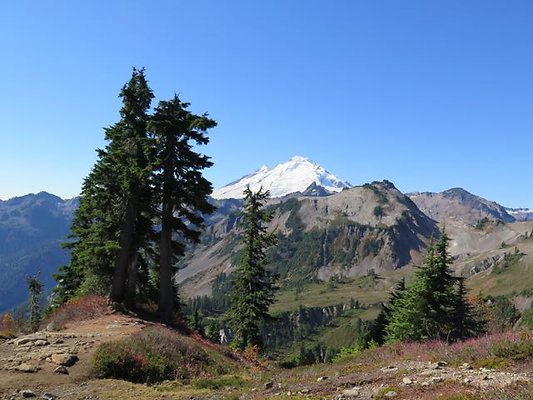 ArtistPoint Mt Baker tool129