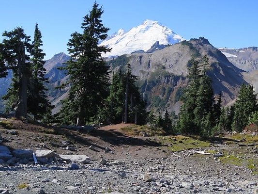 ArtistPoint Mt Baker tool138