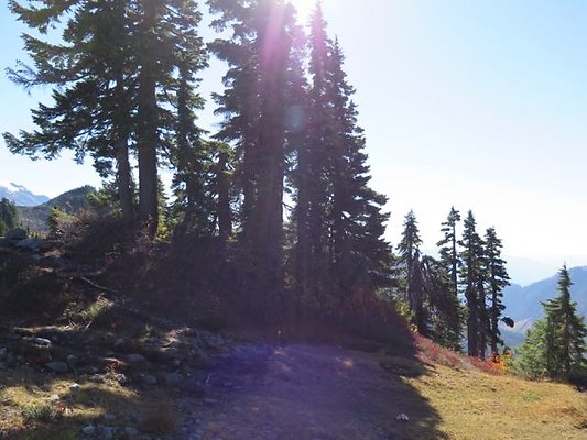 ArtistPoint Mt Baker tool127